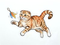 Orange tabby cat playing with colorful feather toy, isolated on white background. Suitable for pet supplies, greeting cards, children's books, and animal-themed designs.