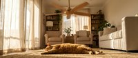 Cozy modern living room interior with beige sofa, wooden ceiling fan, natural lighting through sheer curtains, warm neutral tones for home decor.