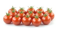 Fresh ripe cherry tomatoes with green stems arranged in rows on white background, bright red color and natural appearance for food and cooking concepts.