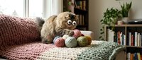 Fluffy cat with googly eyes sits behind colorful yarn balls on knitted blanket in cozy living room with plants and books for crafting projects.