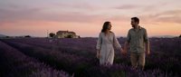 Couple holding hands walking through blooming lavender field at sunset, romantic countryside landscape with purple flowers and warm sky.