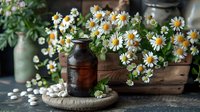 Fresh chamomile flowers in rustic wooden box with vintage brown bottle and white pills on textured surface, natural herbal medicine concept.