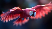 Majestic scarlet macaw in flight with wings spread against dark background, capturing dynamic motion and vibrant red feathers in stunning detail.