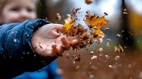Child hand releasing colorful autumn leaves into air creating magical moment of seasonal play and nature connection outdoors.