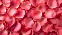 Delicate pink rose petals creating romantic background texture. Soft natural floral pattern with gentle curves and shadows for wedding and Valentine designs.