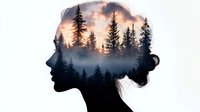 Dreamy female silhouette profile with double exposure effect showing misty forest landscape and dramatic sunset sky through pine trees creating surreal nature portrait.