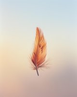 Single orange feather floating against soft gradient background with warm peachy tones for spiritual and nature concepts.