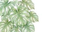 Watercolor monstera leaves composition on white background, tropical green botanical art for cards, prints, and home decor design.