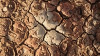 Cracked and parched earth surface with deep fissures showing drought conditions, soil erosion, and environmental damage. Suitable for climate change, sustainability, and environmental awareness projects.