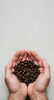 Hands holding dried cloves, aromatic spice for cooking, culinary ingredients, food preparation, seasoning, and kitchen use on neutral background.