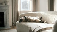 Adorable cat relaxing on beige sofa in bright living room with fireplace and curtains. Cozy home interior with natural light streaming through window.