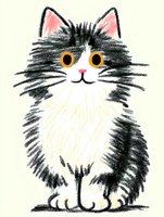 Charming black and white cat with orange eyes drawn in soft pastel style on light background, featuring fluffy fur and pink nose. Suitable for children's illustrations.