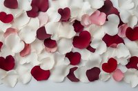 Rose petals in red, pink, and white scattered on a light surface, creating a romantic floral background for Valentine's Day or wedding designs.
