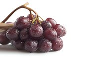 Fresh dark purple grapes with water drops on white background. Macro shot of ripe juicy fruit bunch showing detailed texture and natural shine.