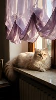 Fluffy Persian cat resting on windowsill with flowing purple curtains in warm sunlight creating cozy domestic atmosphere for home decor and pet lifestyle content.