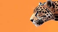 Majestic jaguar profile against vibrant orange background, showcasing spotted coat pattern and intense predator gaze.