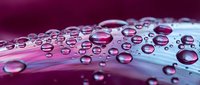 Water droplets scattered across a curved surface with gradient lighting transitioning from deep magenta to soft blue tones, creating a fresh and modern aesthetic for design projects.