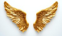 Golden angel wings spread wide against white background, detailed feather texture in metallic gold finish, isolated design element for creative projects.