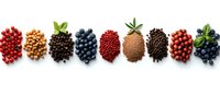 Fresh berries and spices arranged in neat piles on white background, including cranberries, peppercorns, blueberries, nutmeg and allspice. Food ingredients pattern.