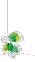 Monstera plant line art with watercolor green leaves on white background, tropical houseplant illustration for home decor and botanical design projects.