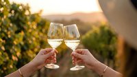 Two hands toasting with white wine glasses at sunset in vineyard landscape for celebration and romantic moments.