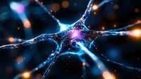 Glowing neuron cell with synaptic connections in deep blue and orange colors against dark background showing electrical activity in nervous system biology.