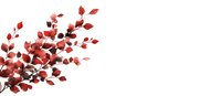 Red watercolor branch with delicate leaves and berries on white background, isolated botanical illustration for greeting cards and seasonal designs.