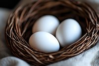 Three fresh white chicken eggs lying in rustic woven twig nest on light linen fabric, macro food photography with soft natural lighting and blur.
