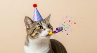 Tabby and white cat wearing red party hat blowing purple noisemaker with colorful confetti on beige background, celebrating birthday or festive occasion.