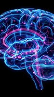 Glowing neon brain with electric blue and pink neural pathways on black background for neuroscience and artificial intelligence concepts.
