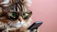 Adorable tabby kitten wearing stylish glasses while using smartphone on pink background. Modern pet technology concept for social media and digital communication.