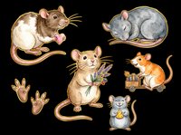 Cute illustrated mice and rats set isolated on transparent background, ready for stickers, t-shirt design, clipart, print on demand, and sublimation projects.