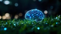 Glowing blue brain on grass with bokeh lights in background represents artificial intelligence, machine learning, and natural intelligence concept.