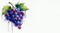 Watercolor grape cluster with green leaves and paint drips on white background. Fresh fruit artwork for kitchen decor, wine labels, culinary designs.