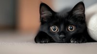 Curious black kitten with bright yellow eyes peeking over edge, close-up portrait showing playful hiding behavior and alert expression against blurred background.