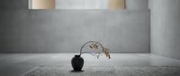 Minimalist interior with dried plant in black vase on concrete floor, modern architectural space with neutral tones, suitable for home decor and design projects.