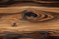 Natural wood grain pattern with swirling lines in rich brown and honey tones creating an organic abstract design. Macro photography reveals detailed texture.