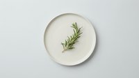 Fresh rosemary sprig on white ceramic plate, minimalist food styling for culinary, cooking, and restaurant design projects.
