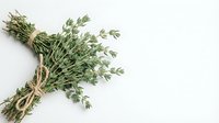 Fresh thyme herb bundle tied with natural twine on white background, aromatic culinary ingredient for cooking and seasoning recipes.