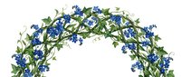Arch of blue forget-me-not flowers with green stems and leaves isolated on white background, ready for wedding invitations, greeting cards, and floral design projects.