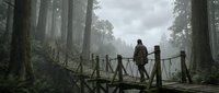 Hiker in olive jacket stands on wooden bridge in misty forest with towering trees and fog, suitable for travel and adventure content.