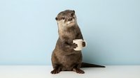 Cute otter standing upright holding a small coffee mug on a light blue background, funny animal concept for cards and social media.