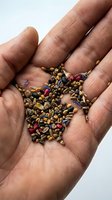 Mixed wildflower and herb seeds held in an open male hand, close-up view for gardening, ecology, and sustainable agriculture concepts.