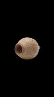 Textured spherical birdhouse with entrance hole, isolated on transparent background. Ready for clipart, print-on-demand products, sublimation designs, stickers, and t-shirt graphics.