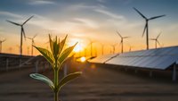 Green plant seedling growing with wind turbines and solar panels at sunset representing sustainable renewable energy and environmental growth.