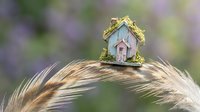 Miniature fairy house with moss roof sits atop blonde hair against soft bokeh background creating magical whimsical scene for fantasy storytelling concepts.