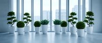 Modern office interior with green potted plants arranged along floor-to-ceiling windows overlooking city skyline. Clean minimalist workspace design.