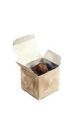 Open kraft cardboard box with brown spherical object inside, isolated on white background, suitable for packaging, shipping, product presentation, and e-commerce design.