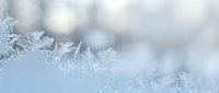 Delicate frost crystals forming intricate ice patterns on winter glass surface with soft blurred background creating peaceful seasonal atmosphere.