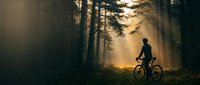 Silhouette of cyclist riding through misty forest at sunrise with golden light filtering through tall trees, suitable for outdoor sports and nature themes.